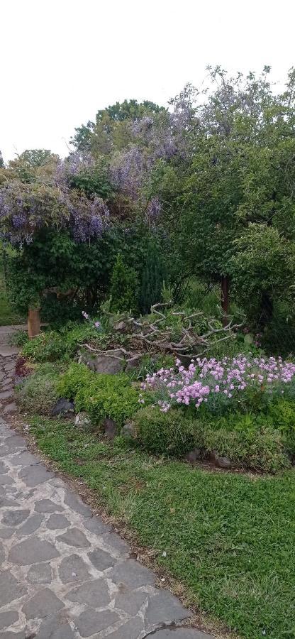 Kaman Nyaralo Apartment Badacsonytomaj Bagian luar foto